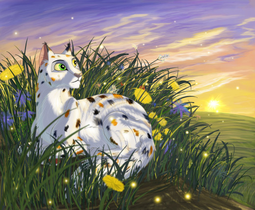 959351 (a): :3060x2515